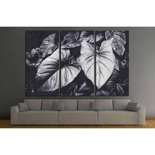 Low key Dark lighting Nature background, green leaves in natural light and shadow №2834 Ready to Hang Canvas PrintCanvas art arrives ready to hang, with hanging accessories included and no additional framing required. Every canvas print is hand-crafted, m