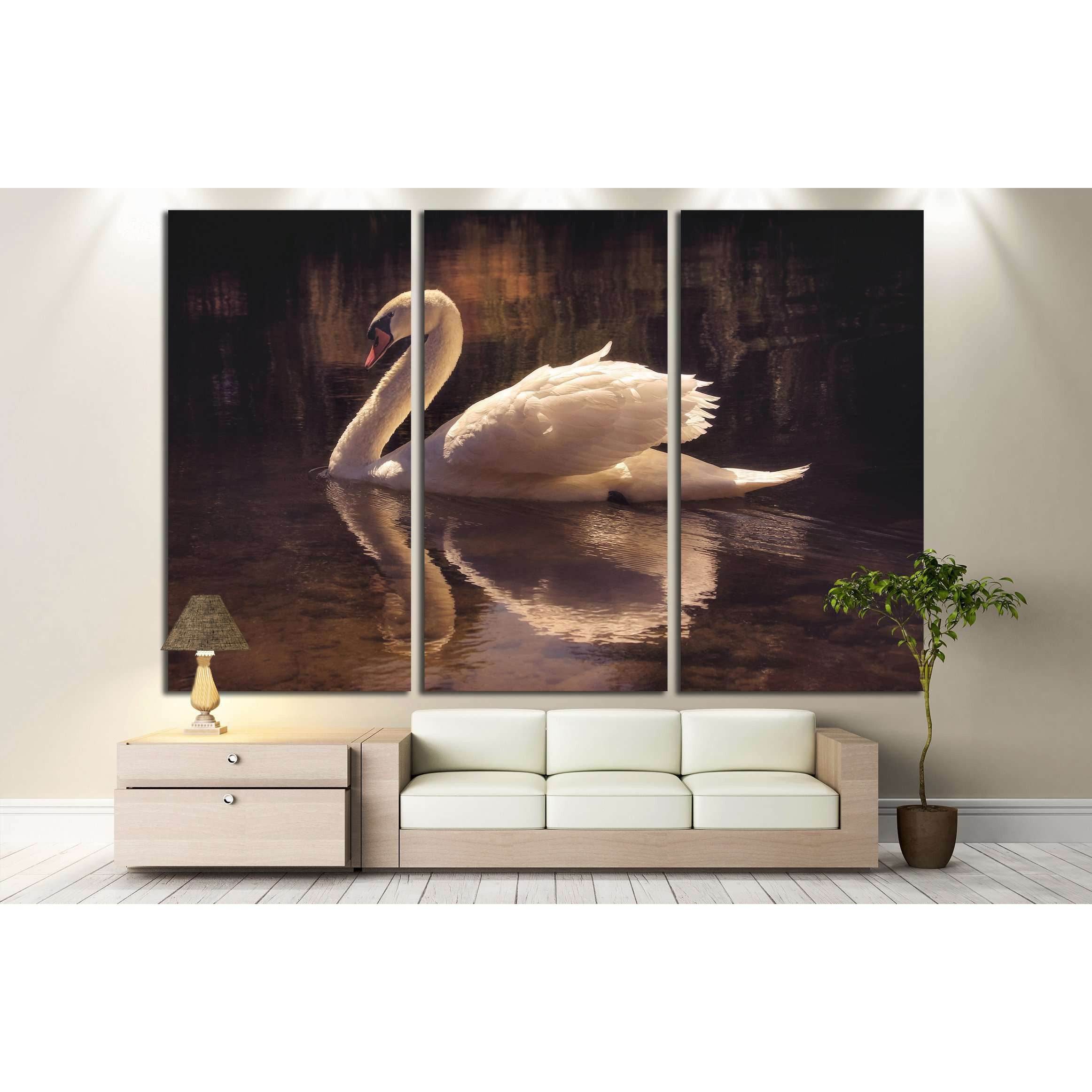 moody image of a beautiful swan swimming №3263 Ready to Hang Canvas PrintCanvas art arrives ready to hang, with hanging accessories included and no additional framing required. Every canvas print is hand-crafted, made on-demand at our workshop and expertl