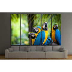 parrot bird sitting on the perch №2790 Ready to Hang Canvas PrintCanvas art arrives ready to hang, with hanging accessories included and no additional framing required. Every canvas print is hand-crafted, made on-demand at our workshop and expertly stretc