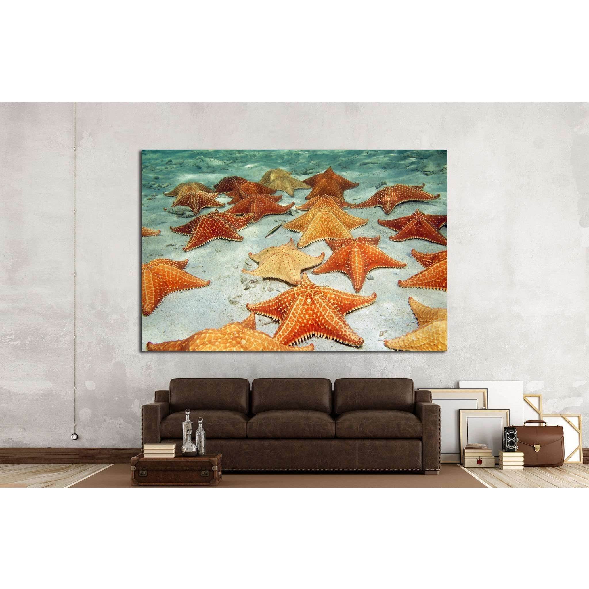 Plenty of cushion starfish on a sandy ocean floor №1395 Ready to Hang Canvas PrintCanvas art arrives ready to hang, with hanging accessories included and no additional framing required. Every canvas print is hand-crafted, made on-demand at our workshop an