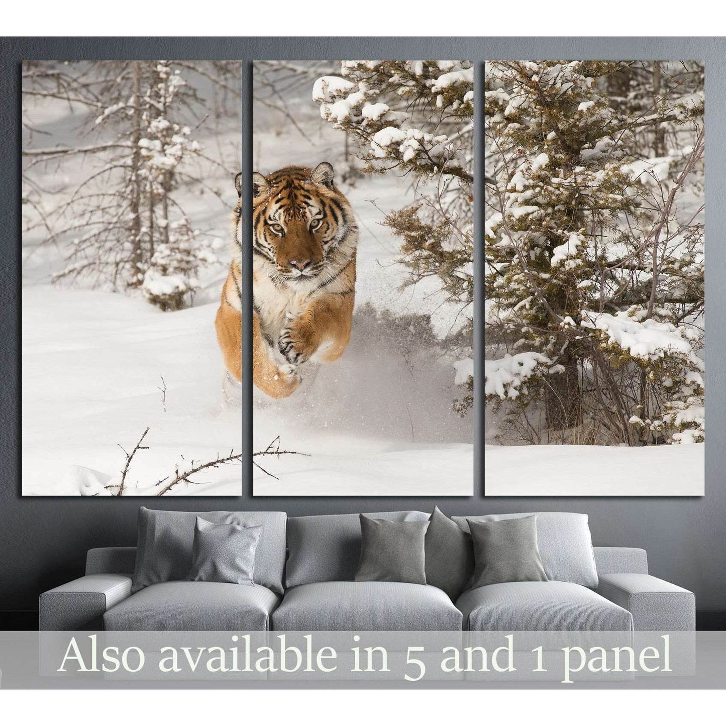 Rare Siberian Tiger running in snow between trees №2344 Ready to Hang Canvas PrintCanvas art arrives ready to hang, with hanging accessories included and no additional framing required. Every canvas print is hand-crafted, made on-demand at our workshop an