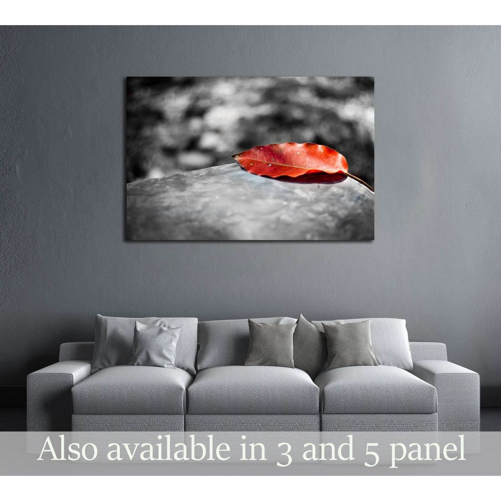 Red leaf on black and white background №3025 Ready to Hang Canvas PrintCanvas art arrives ready to hang, with hanging accessories included and no additional framing required. Every canvas print is hand-crafted, made on-demand at our workshop and expertly