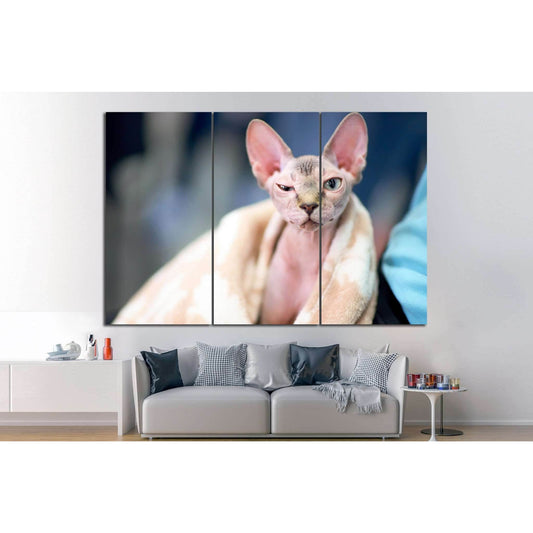 Serious cat №13 Ready to Hang Canvas PrintCanvas art arrives ready to hang, with hanging accessories included and no additional framing required. Every canvas print is hand-crafted, made on-demand at our workshop and expertly stretched around 100% North A