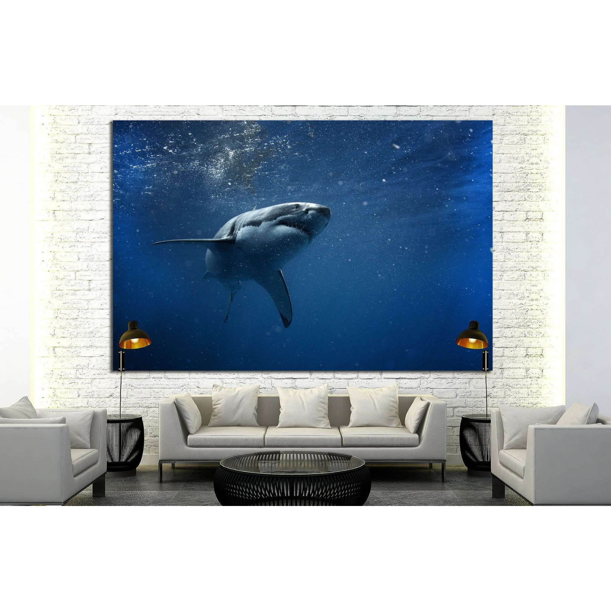 Shark №503 Ready to Hang Canvas PrintCanvas art arrives ready to hang, with hanging accessories included and no additional framing required. Every canvas print is hand-crafted, made on-demand at our workshop and expertly stretched around 100% North Americ