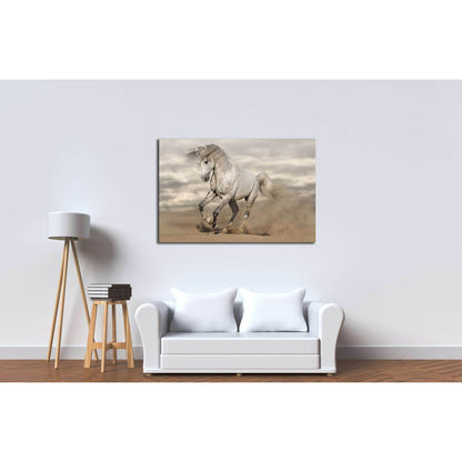 Silver gray Andalusian horse in desert. Toned image №2785 Ready to Hang Canvas PrintCanvas art arrives ready to hang, with hanging accessories included and no additional framing required. Every canvas print is hand-crafted, made on-demand at our workshop