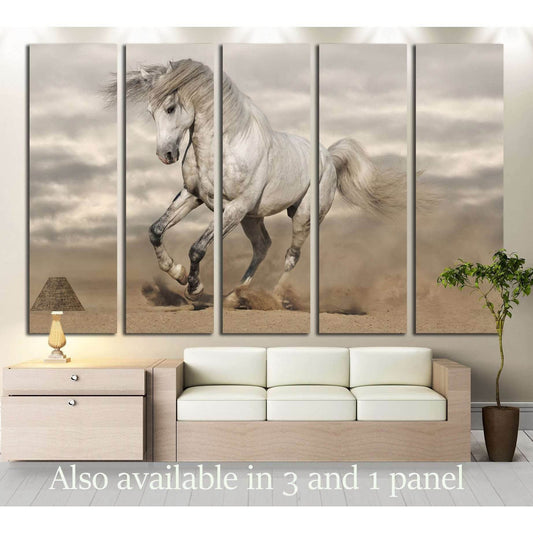 Silver gray Andalusian horse in desert. Toned image №2785 Ready to Hang Canvas PrintCanvas art arrives ready to hang, with hanging accessories included and no additional framing required. Every canvas print is hand-crafted, made on-demand at our workshop