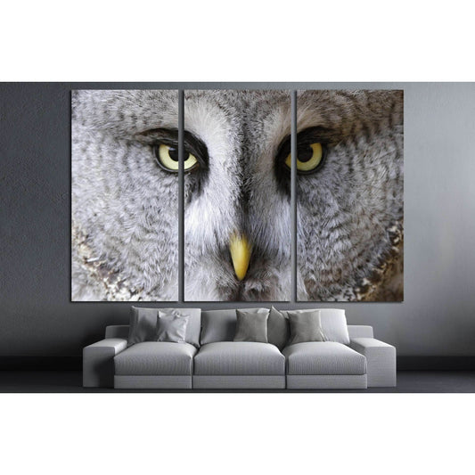 snow owl portrait №2784 Ready to Hang Canvas PrintCanvas art arrives ready to hang, with hanging accessories included and no additional framing required. Every canvas print is hand-crafted, made on-demand at our workshop and expertly stretched around 100%
