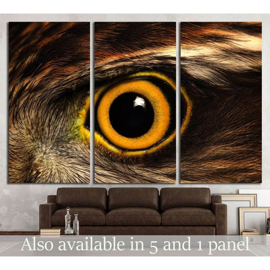 Sparrow-hawk eye №1862 Ready to Hang Canvas PrintCanvas art arrives ready to hang, with hanging accessories included and no additional framing required. Every canvas print is hand-crafted, made on-demand at our workshop and expertly stretched around 100%