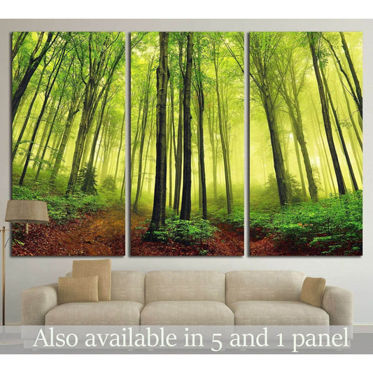 Forest Serenity Canvas Print - Peaceful Nature Wall DecorThis canvas print captures a lush forest scene bathed in a soft, diffused light, creating a peaceful and renewing atmosphere. The greenery's vivid shades and the forest's depth would complement spac