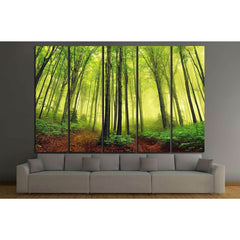 Forest Serenity Canvas Print - Peaceful Nature Wall DecorThis canvas print captures a lush forest scene bathed in a soft, diffused light, creating a peaceful and renewing atmosphere. The greenery's vivid shades and the forest's depth would complement spac