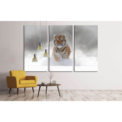 Tiger in wild winter nature. Amur tiger running in the snow №1831 Ready to Hang Canvas PrintCanvas art arrives ready to hang, with hanging accessories included and no additional framing required. Every canvas print is hand-crafted, made on-demand at our w