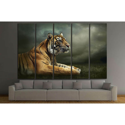 Tiger looking and sitting under dramatic sky with clouds №2347 Ready to Hang Canvas PrintCanvas art arrives ready to hang, with hanging accessories included and no additional framing required. Every canvas print is hand-crafted, made on-demand at our work