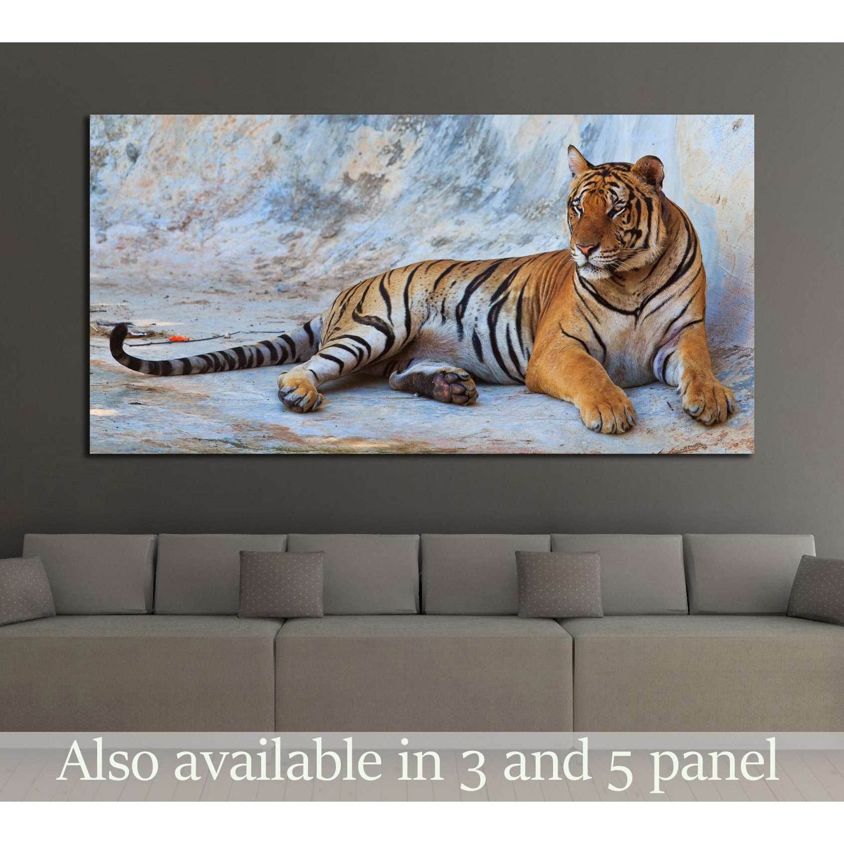 tiger №2357 Ready to Hang Canvas PrintCanvas art arrives ready to hang, with hanging accessories included and no additional framing required. Every canvas print is hand-crafted, made on-demand at our workshop and expertly stretched around 100% North Ameri