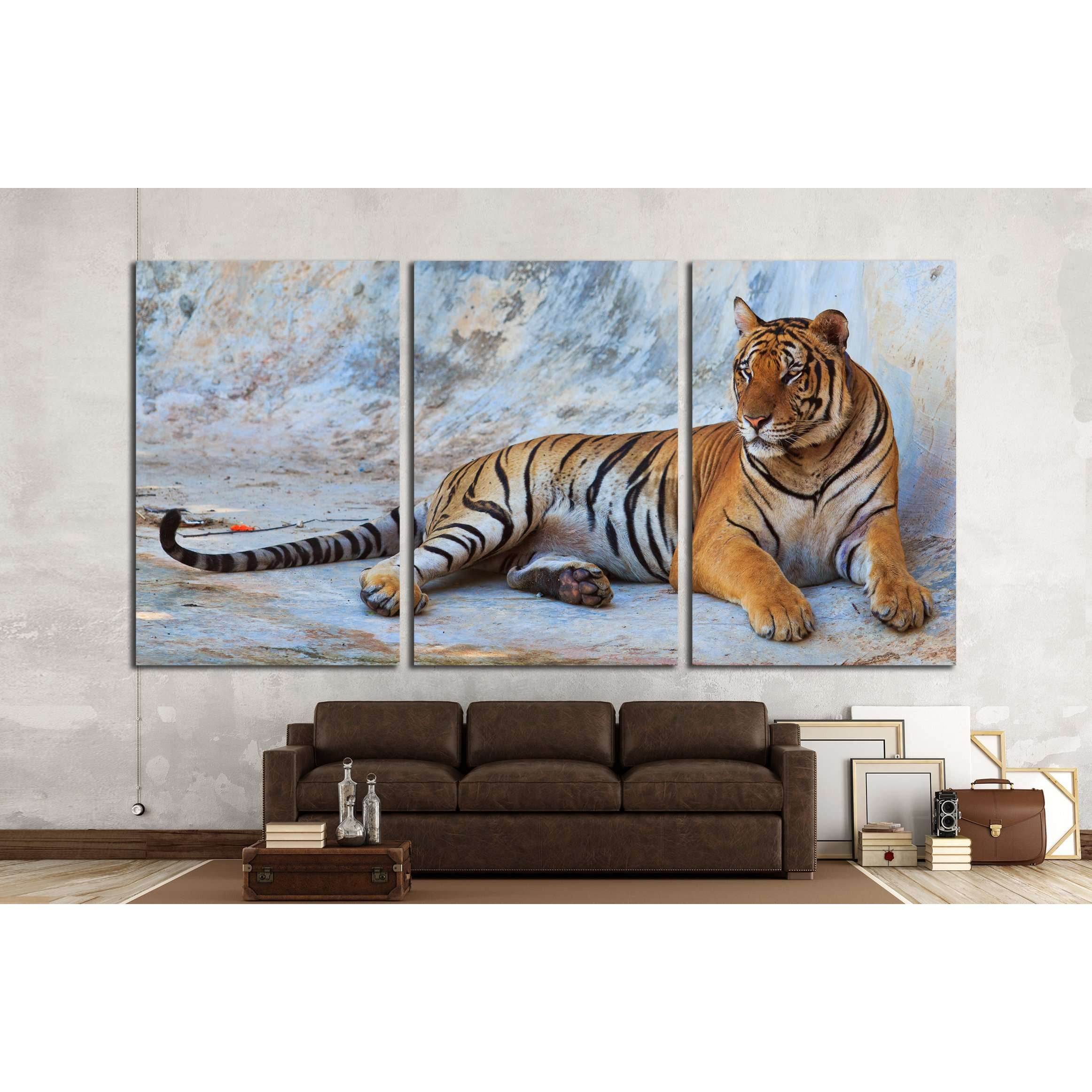 tiger №2357 Ready to Hang Canvas PrintCanvas art arrives ready to hang, with hanging accessories included and no additional framing required. Every canvas print is hand-crafted, made on-demand at our workshop and expertly stretched around 100% North Ameri