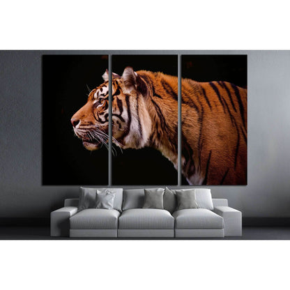 Tiger profile isolated on a black background №2341 Ready to Hang Canvas PrintCanvas art arrives ready to hang, with hanging accessories included and no additional framing required. Every canvas print is hand-crafted, made on-demand at our workshop and exp