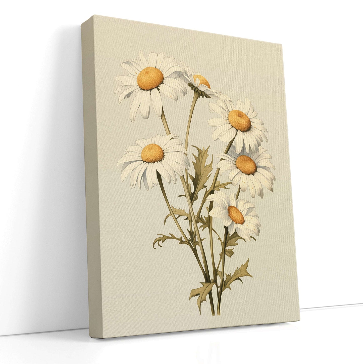 Vintage Daisy Botanical Illustration - Canvas Print - Artoholica Ready to Hang Canvas Print