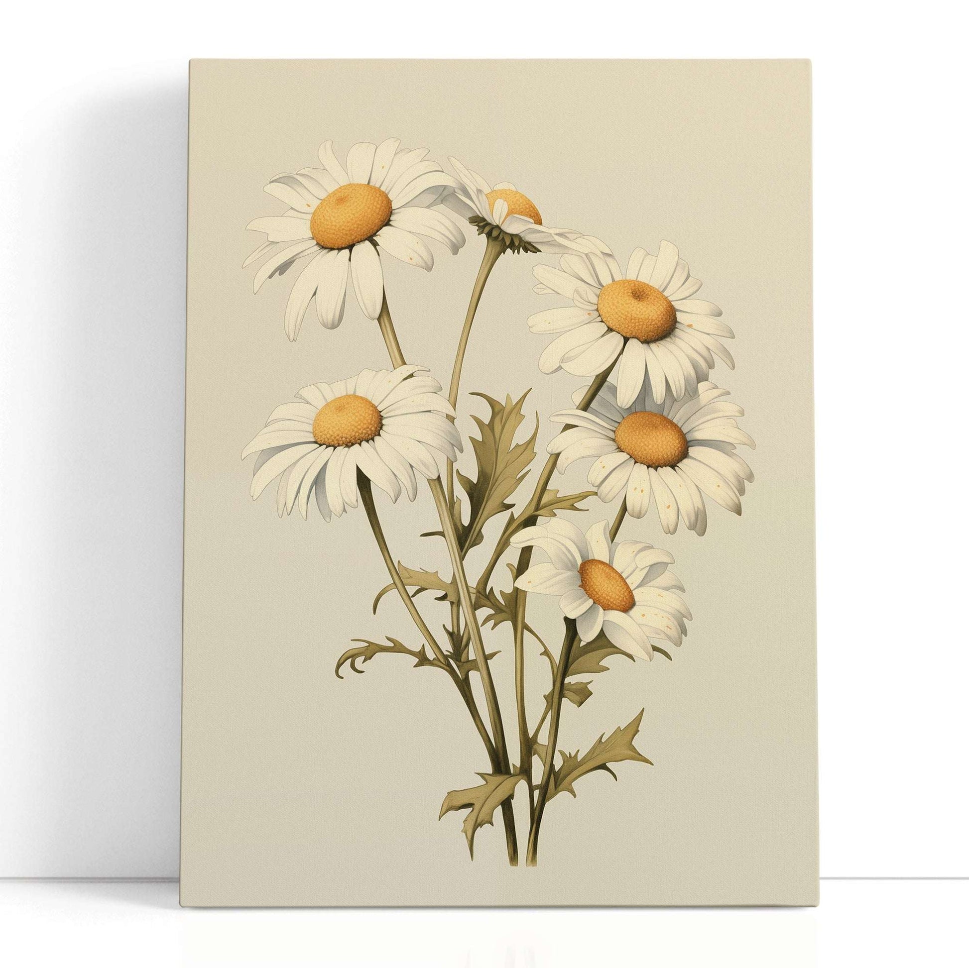 Vintage Daisy Botanical Illustration - Canvas Print - Artoholica Ready to Hang Canvas Print