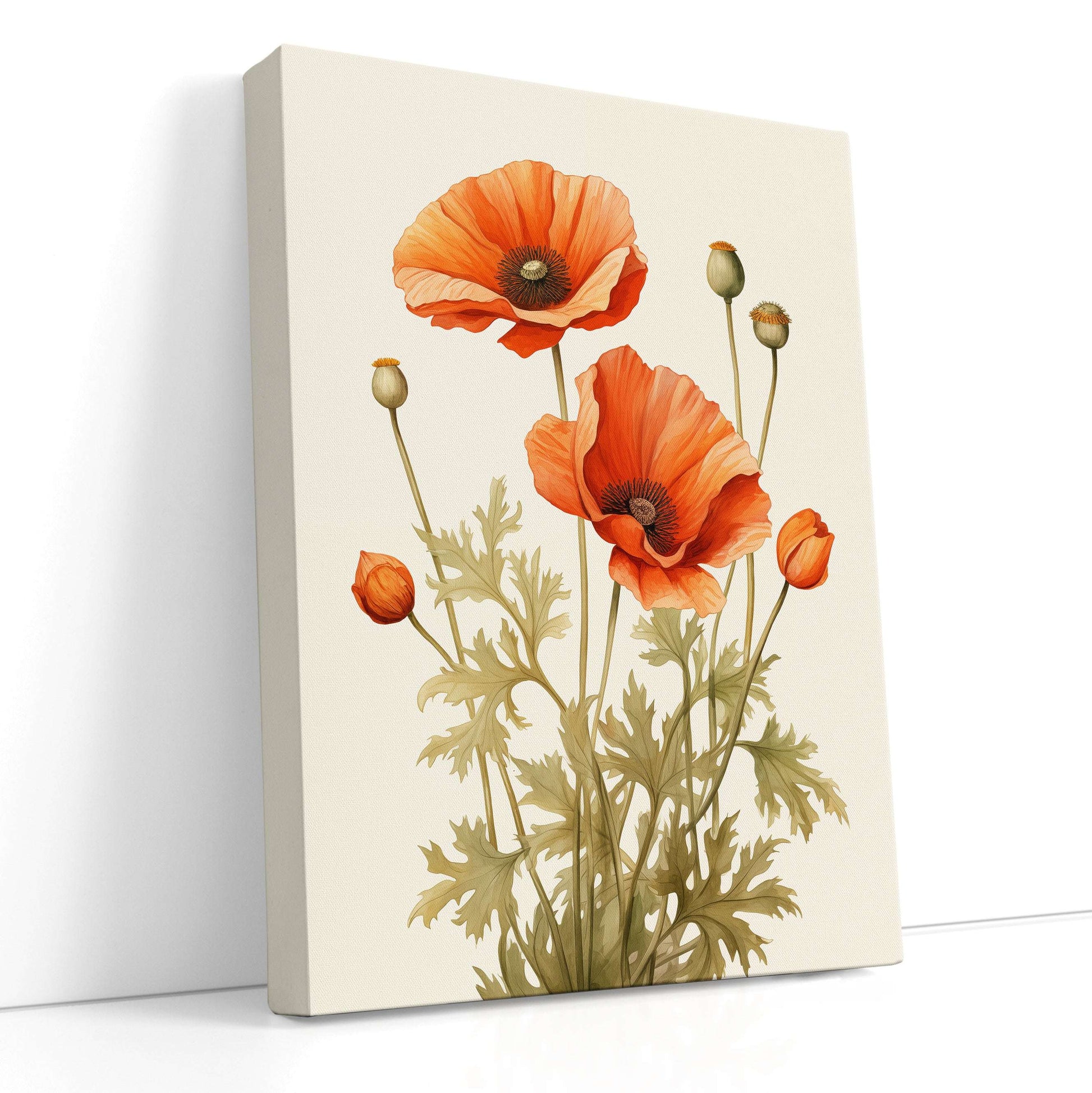 Vintage Poppy Botanical Illustration - Canvas Print - Artoholica Ready to Hang Canvas Print