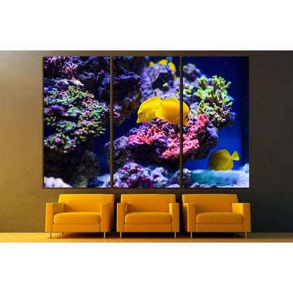 Wonderful and beautiful underwater world with corals №3067 Ready to Hang Canvas PrintCanvas art arrives ready to hang, with hanging accessories included and no additional framing required. Every canvas print is hand-crafted, made on-demand at our workshop