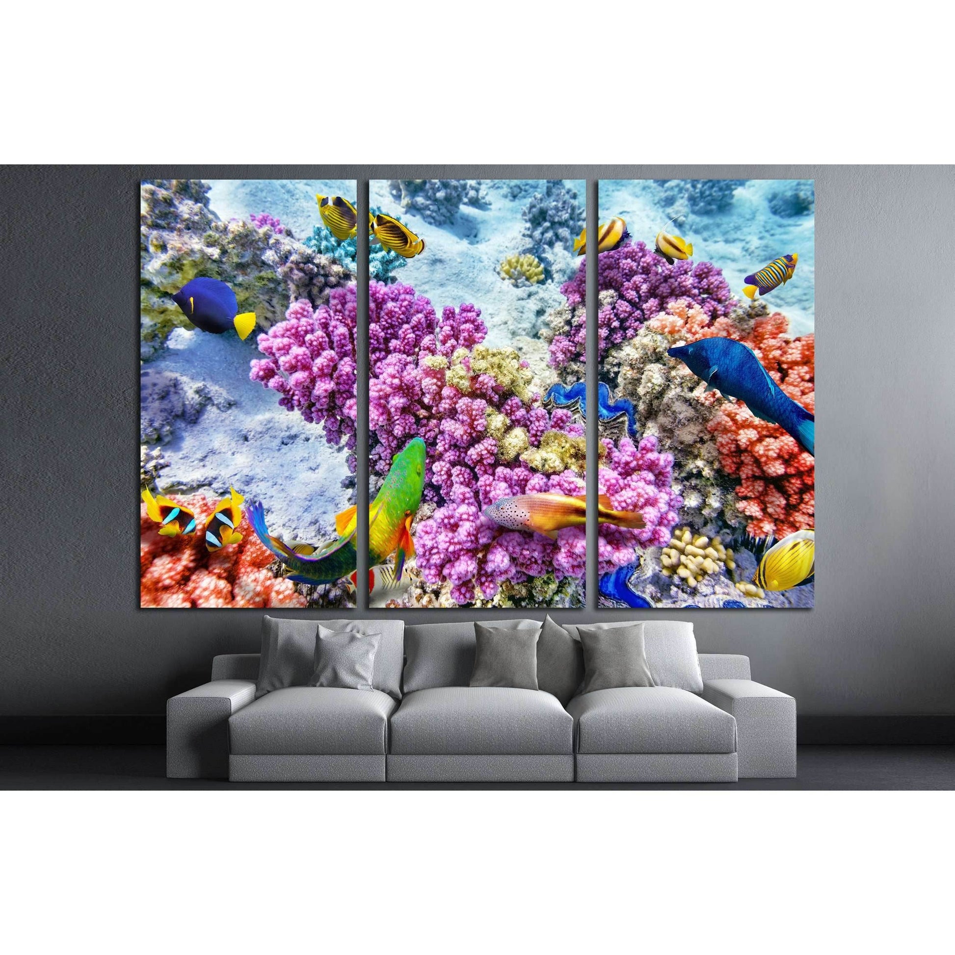 Wonderful and beautiful underwater world with corals and tropical fish №3065 Ready to Hang Canvas PrintCanvas art arrives ready to hang, with hanging accessories included and no additional framing required. Every canvas print is hand-crafted, made on-dema