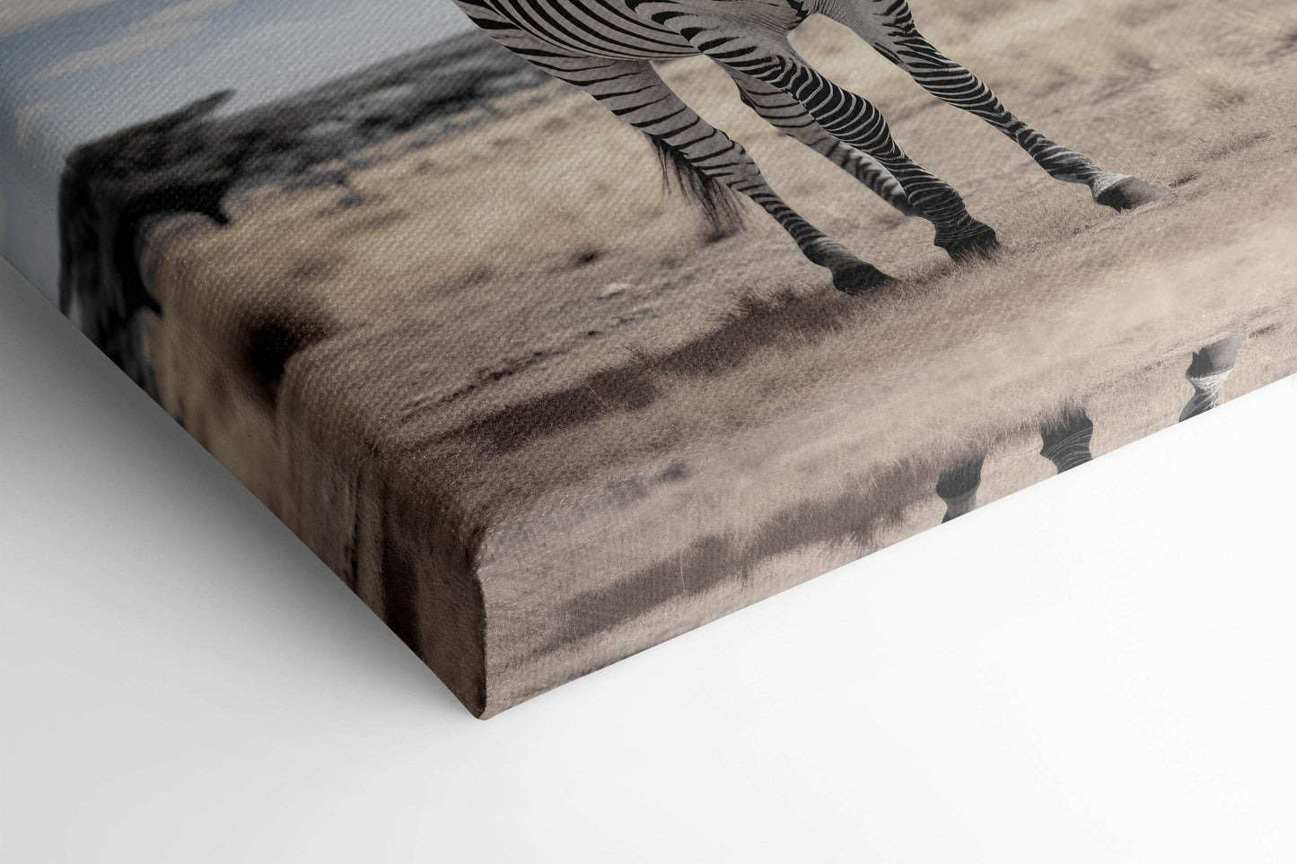 Zebra in the Savannah Under a Cloudy Sky - Canvas Print - Artoholica Ready to Hang Canvas Print